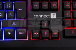 Connect IT BATTLE RNBW klávesnice pro hráče, ČERNO-ŠEDÁ - Fotka 4/7