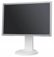 Monitor 22" LCD NEC MultiSync E222W Silver