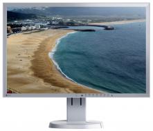 Monitor 23" LCD Eizo FlexScan EV2336W Gray