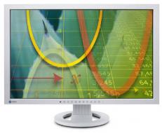 24" LCD EIZO FlexScan S2432W Gray