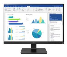 25" LCD LG 25BL56WY-B